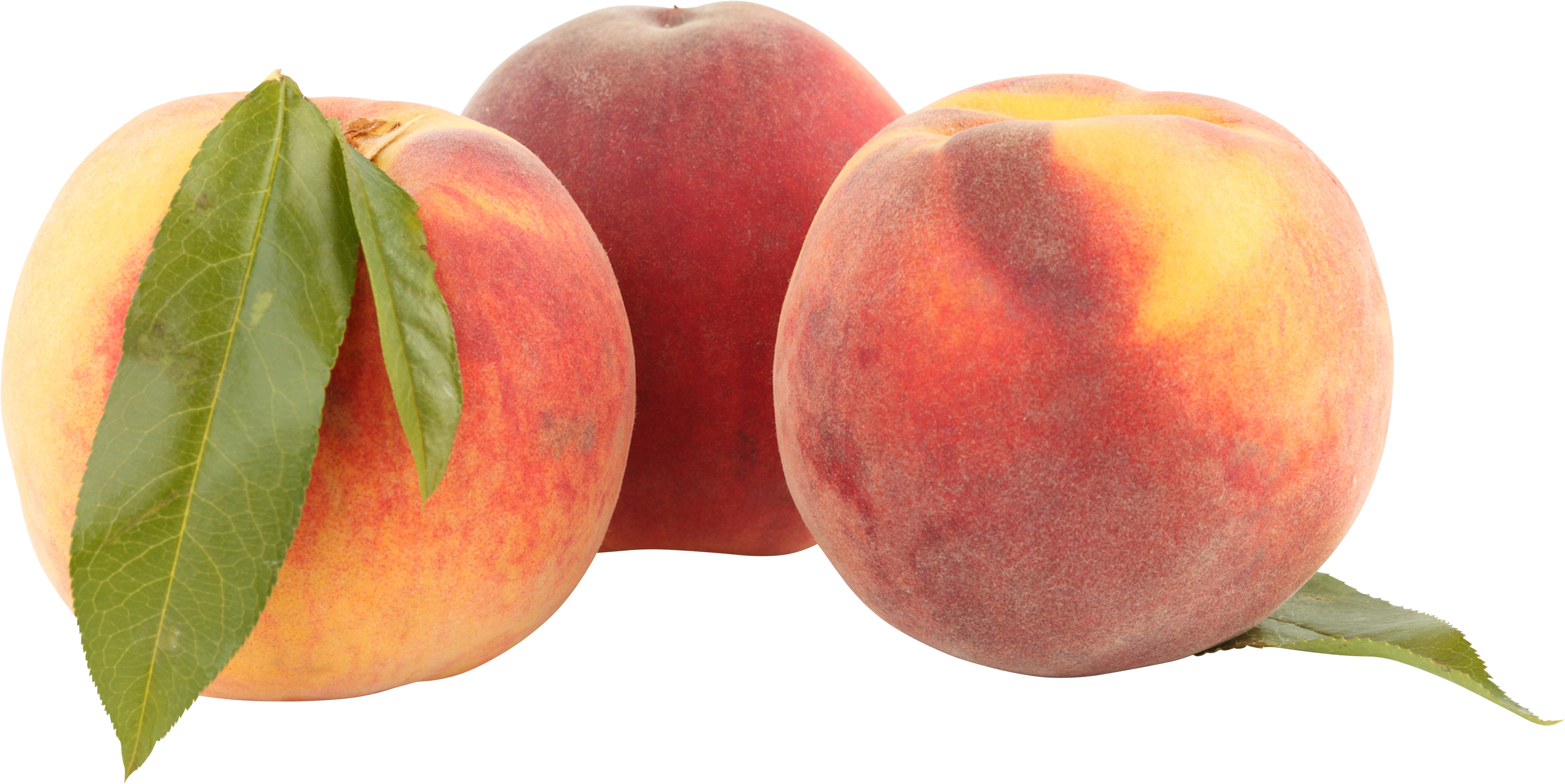Apple Background Clipart