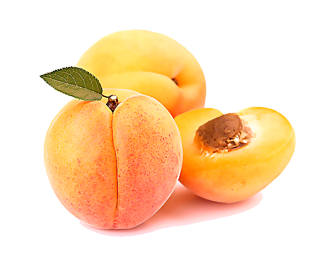 european plum peach fruit food apricot Clipart