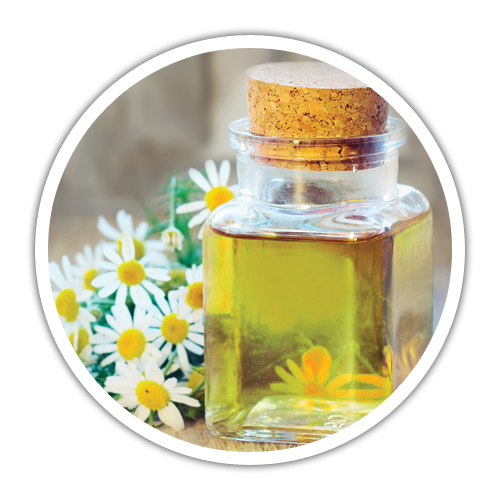 Olive Oil Clipart