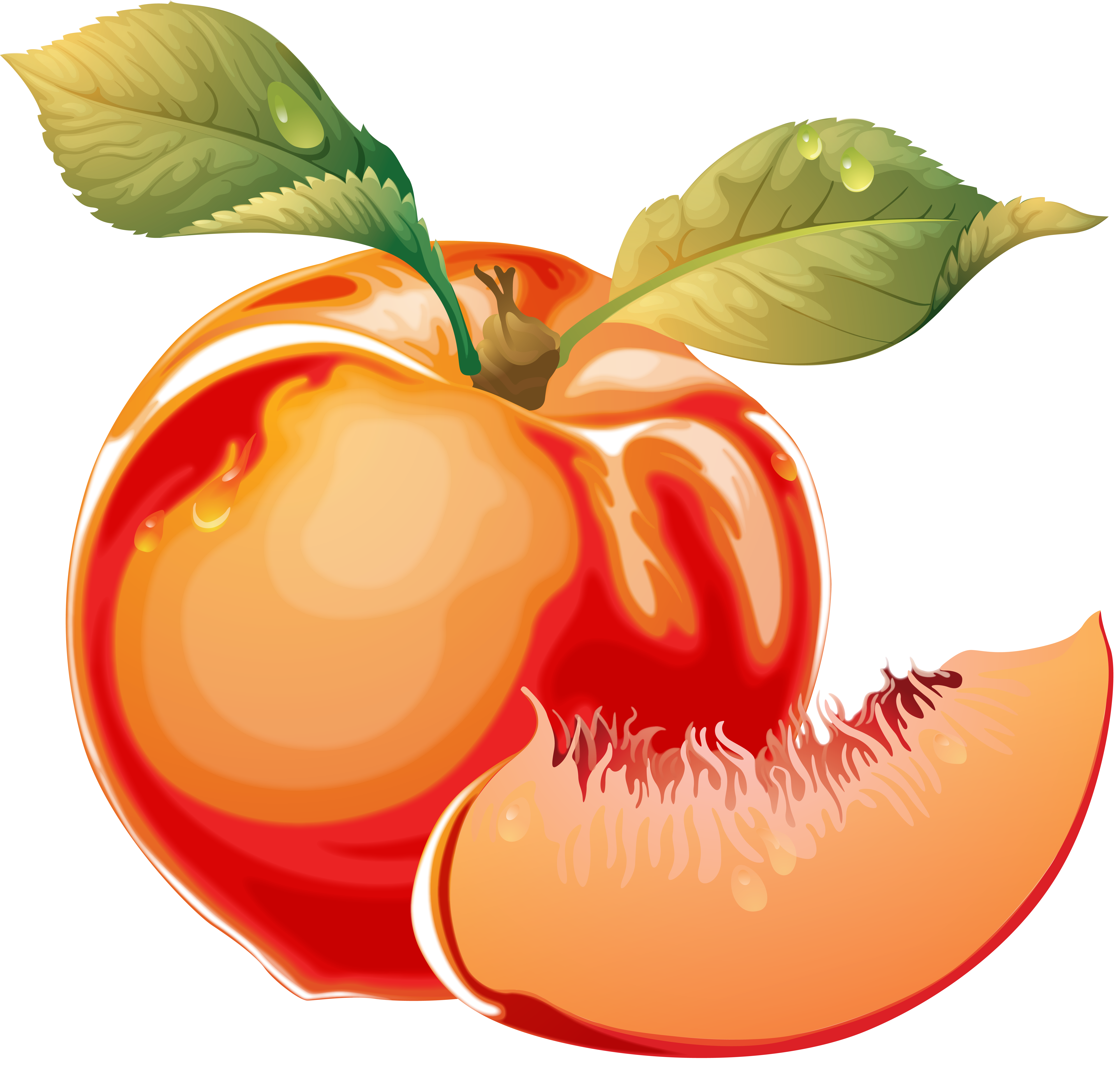 Tomato Cartoon Clipart