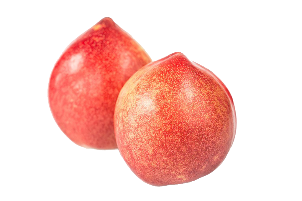 Apple Cartoon Clipart