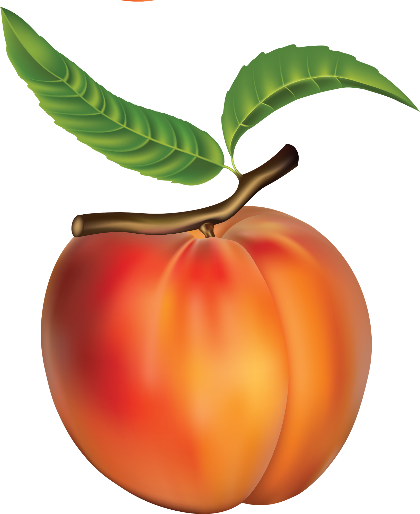 Apple Cartoon Clipart