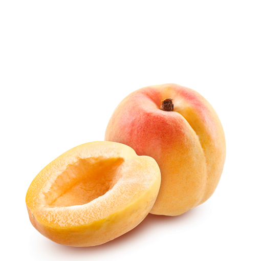 World Food Day Clipart