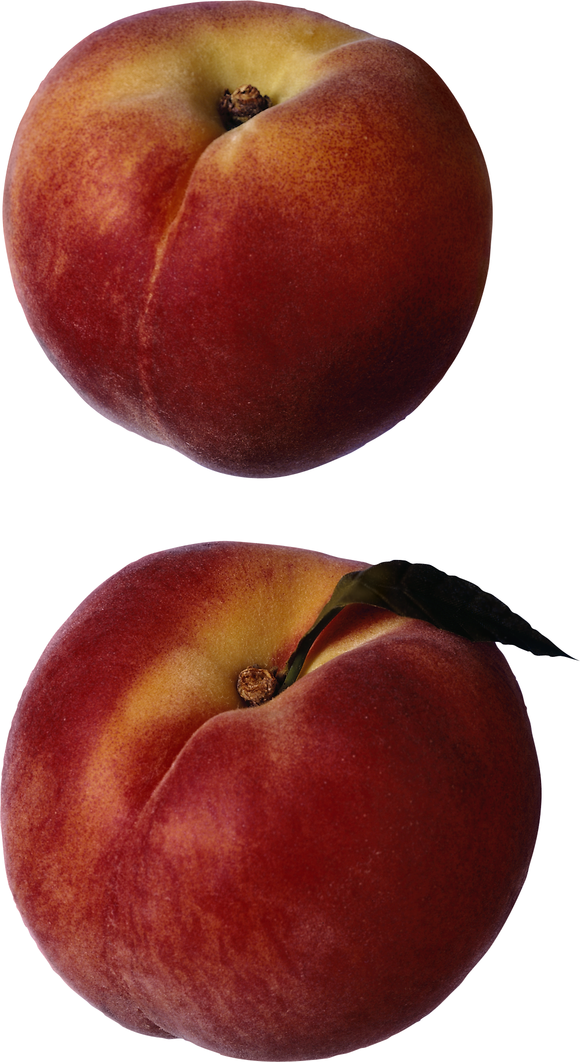 Apple Cartoon Clipart