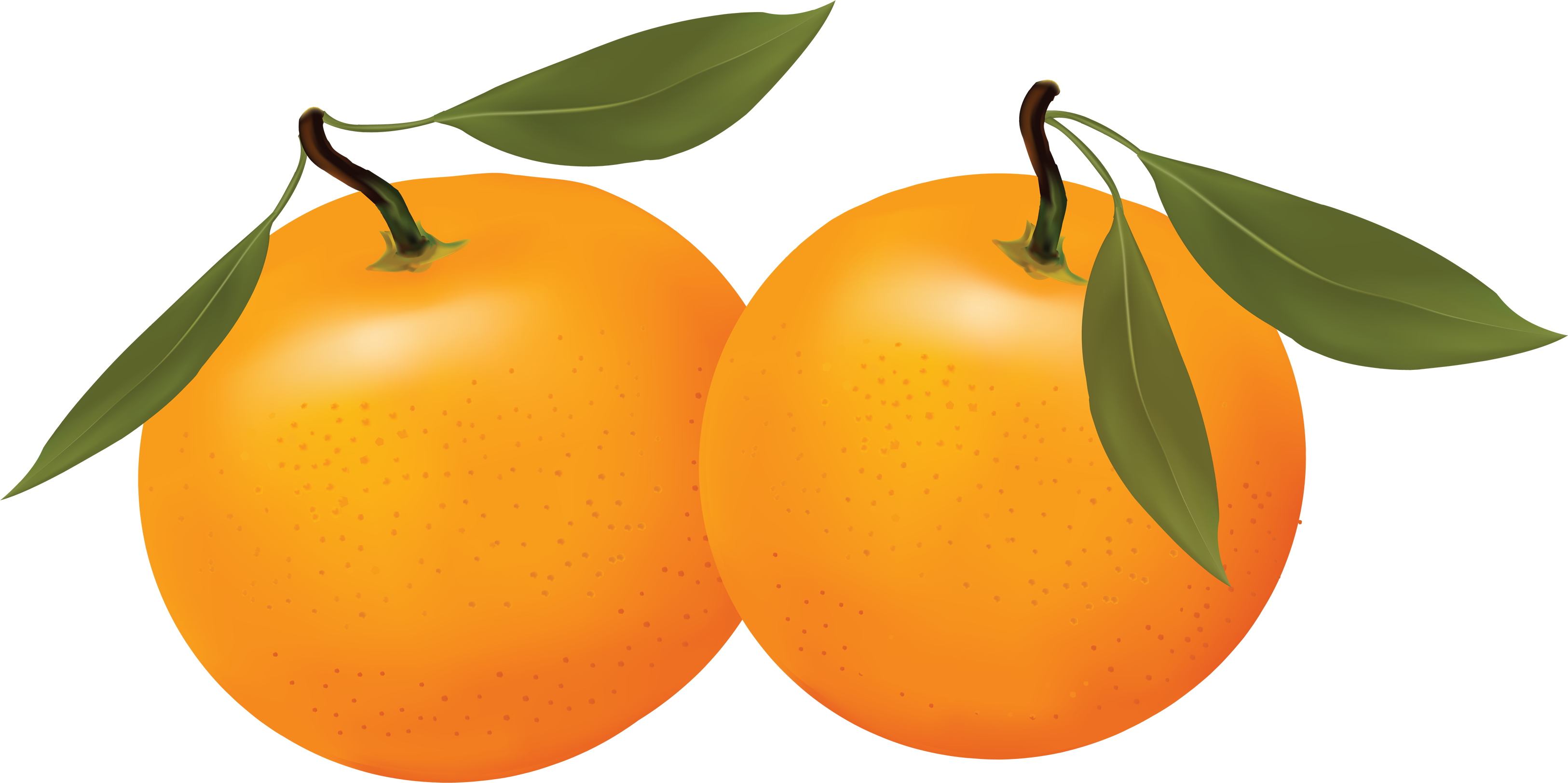Apple Tree Drawing Clipart