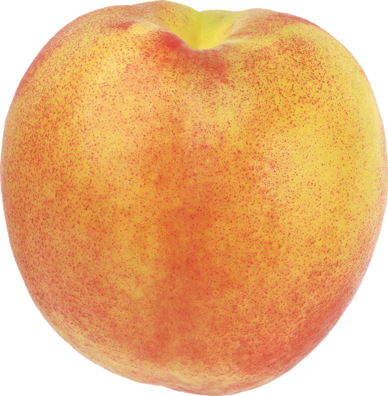 Apple Cartoon Clipart