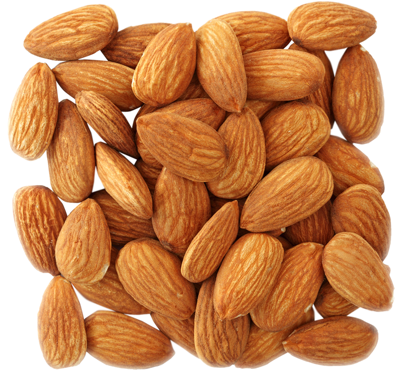 Almond Nuts Seeds Clipart