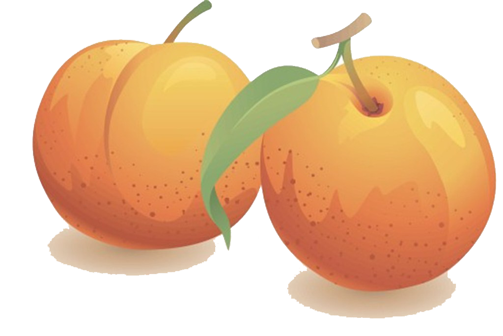 Apple Drawing Clipart