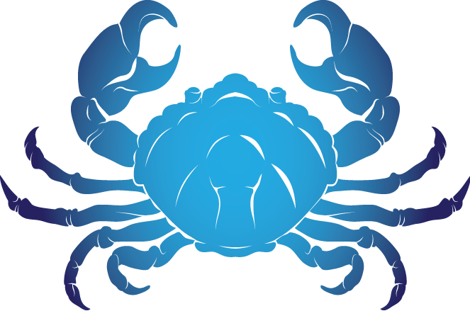 Seafood Background Clipart