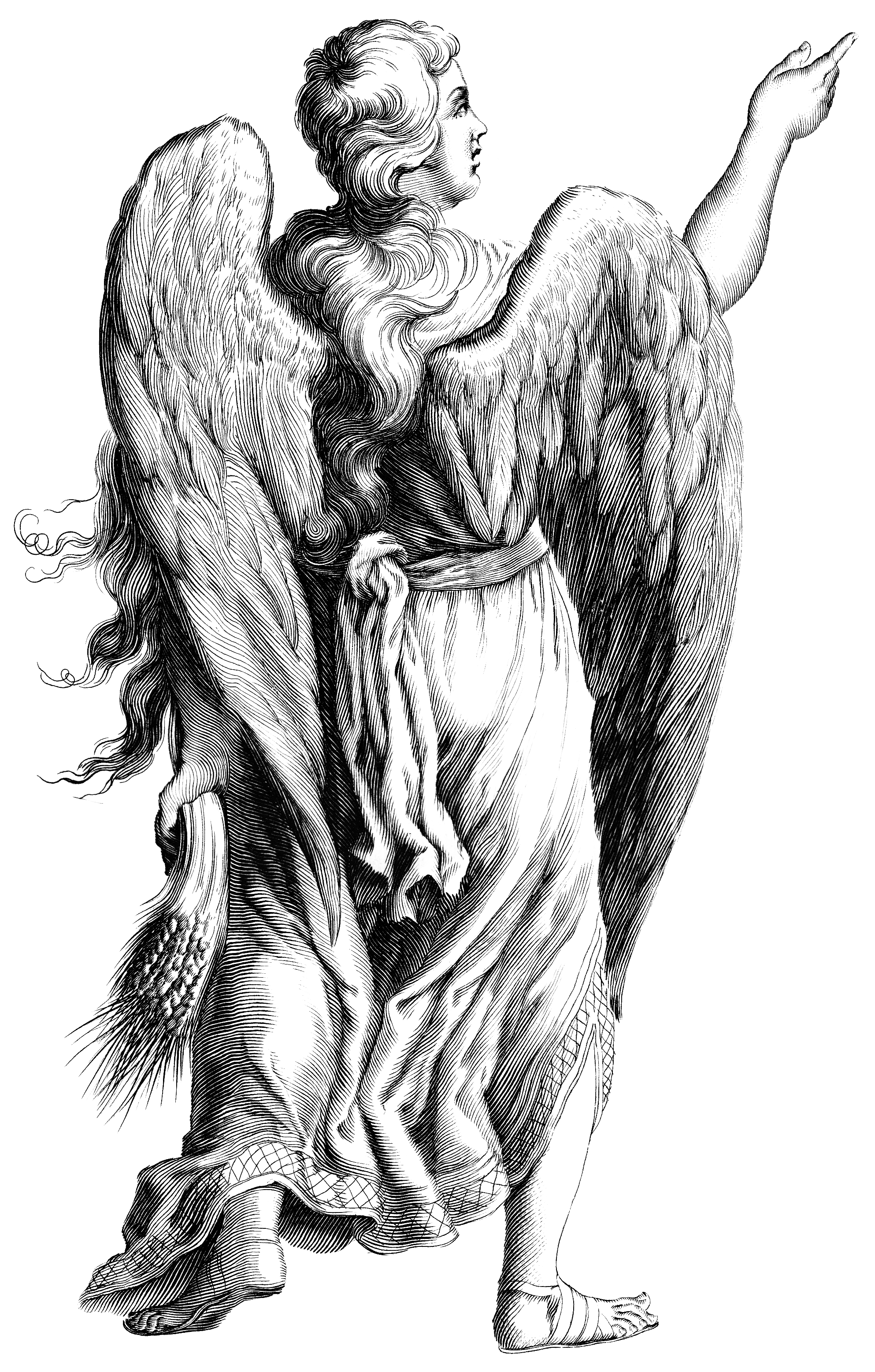 Tree Drawing Clipart