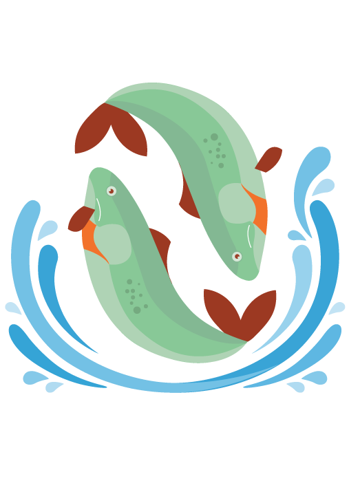 Bird Logo Clipart