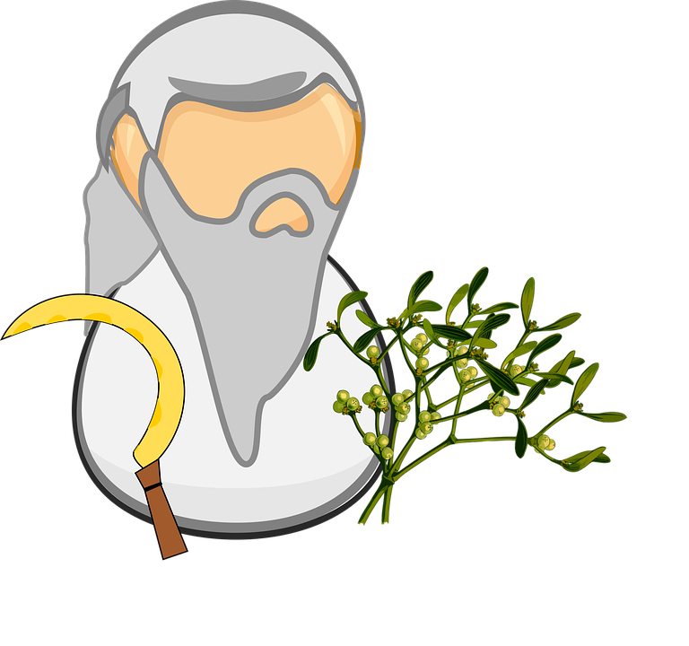 Cartoon Bird Clipart