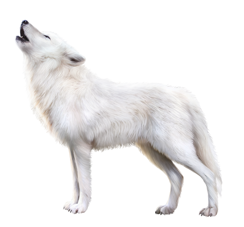 Wolf Cartoon Clipart