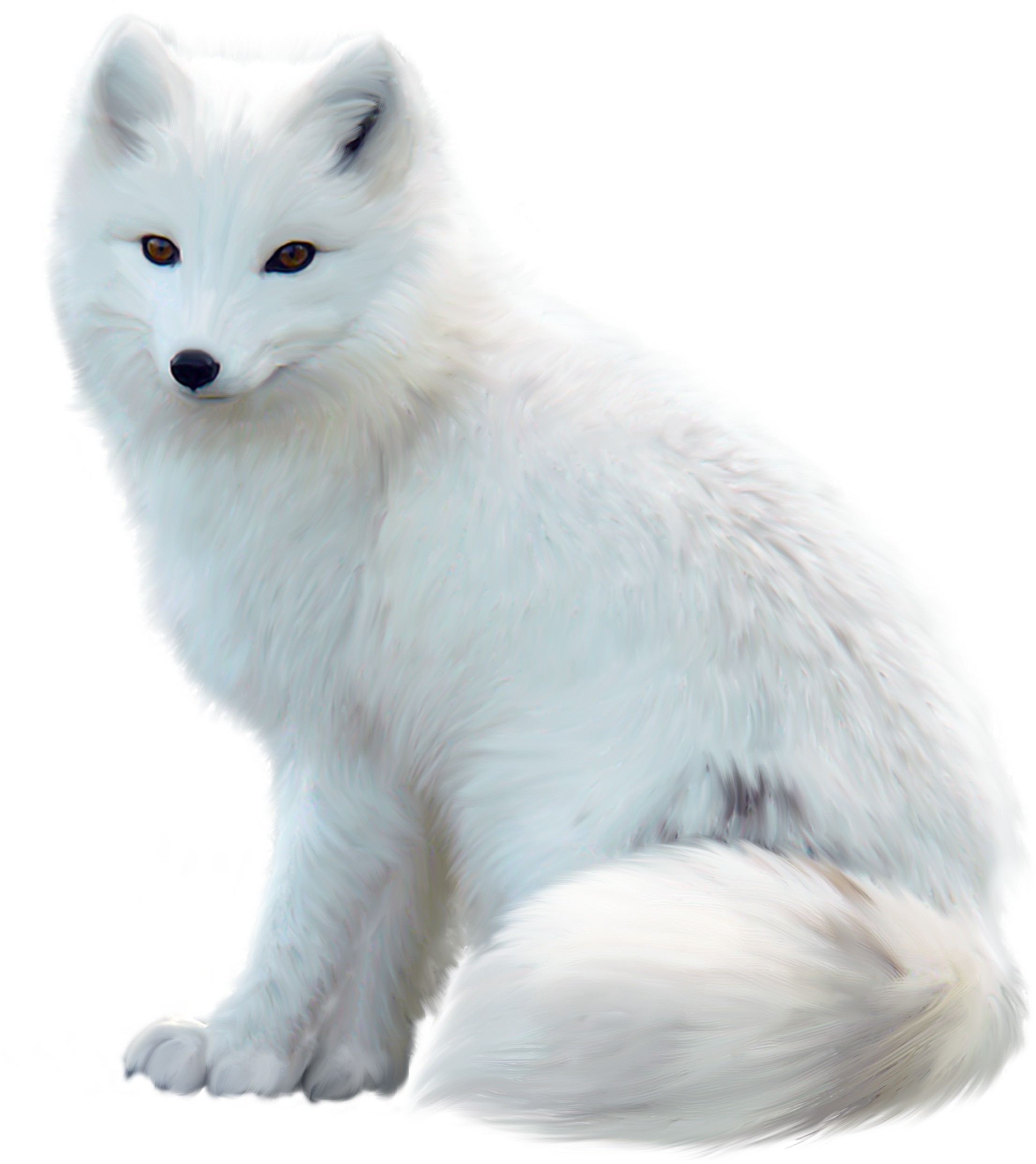 Polar Bear Cartoon Clipart