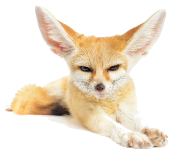 Fox Cartoon Clipart