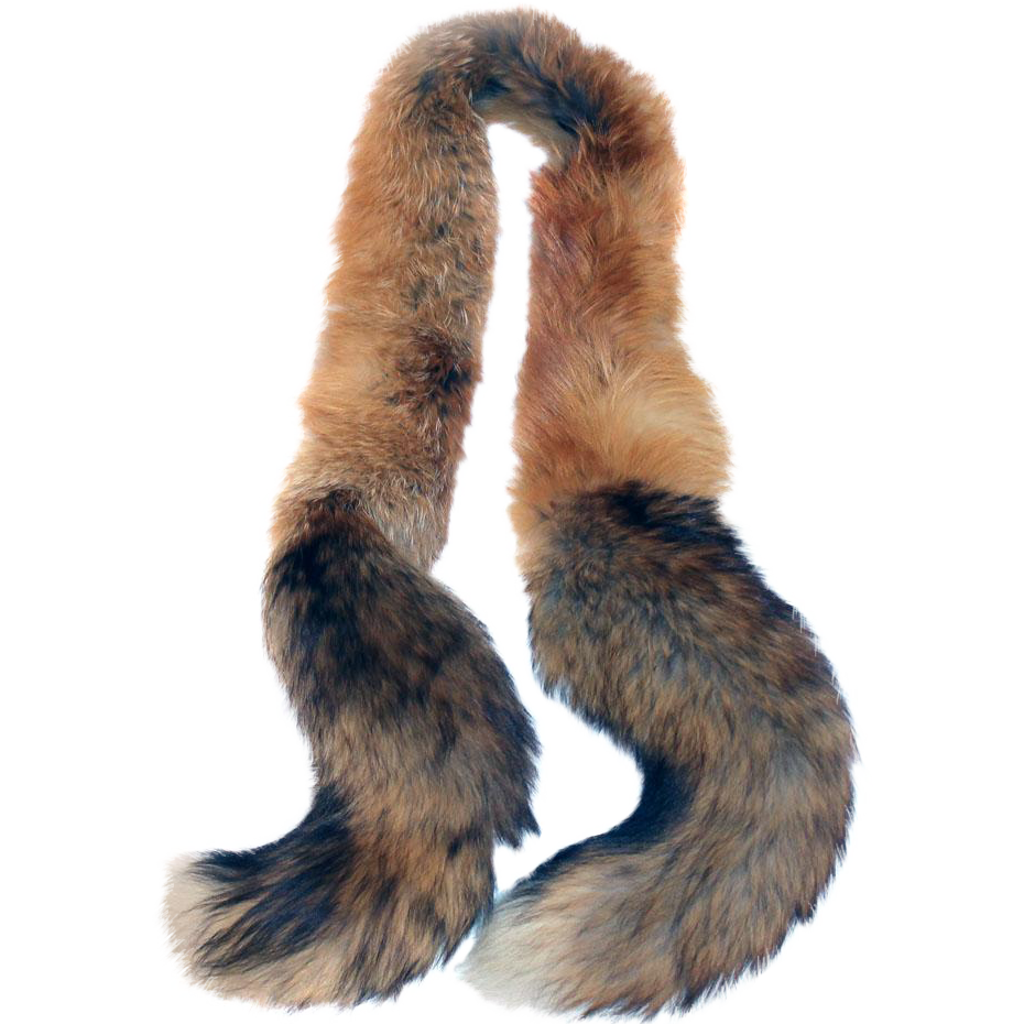 Fox Cartoon Clipart