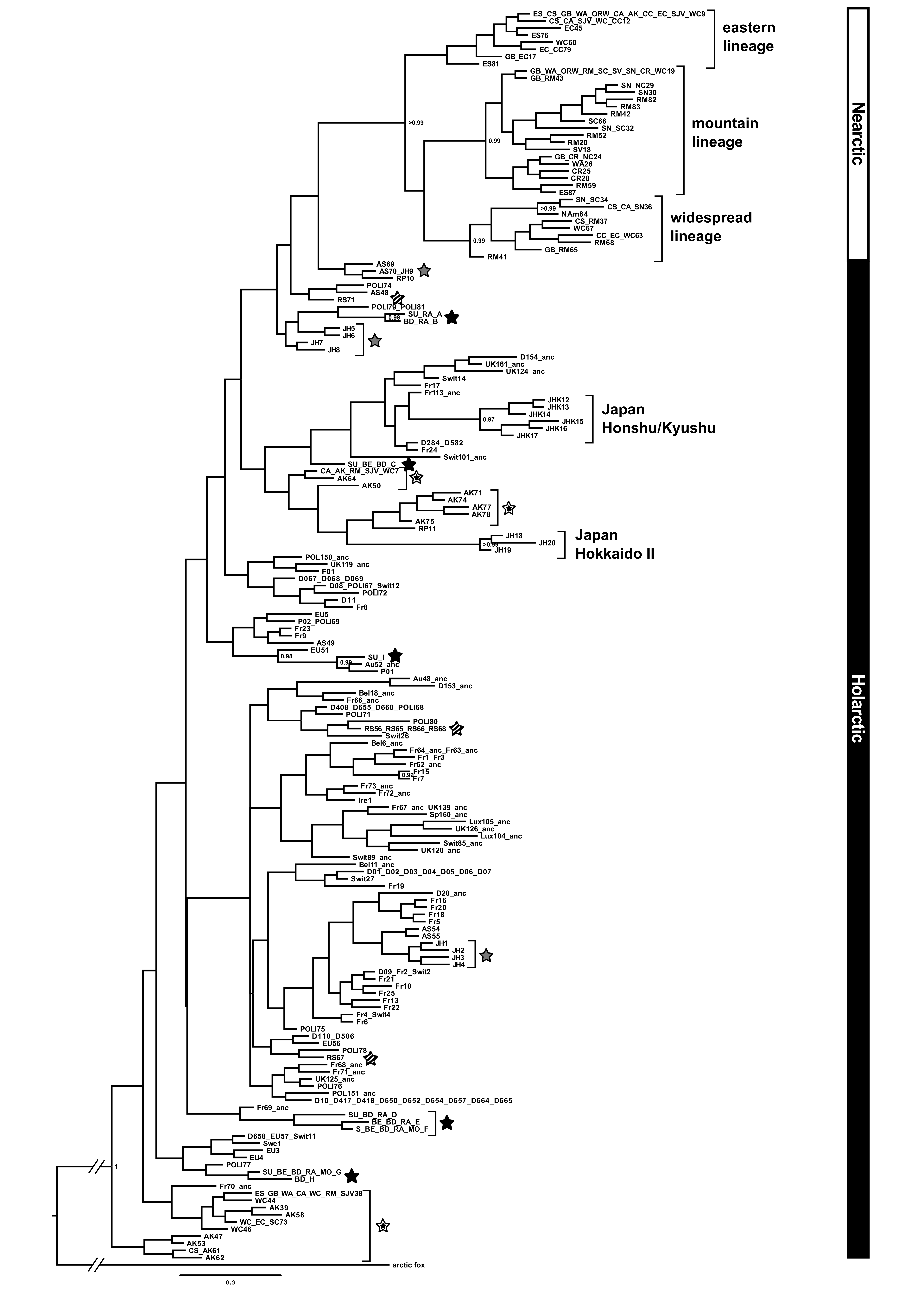 Tree Plan Clipart