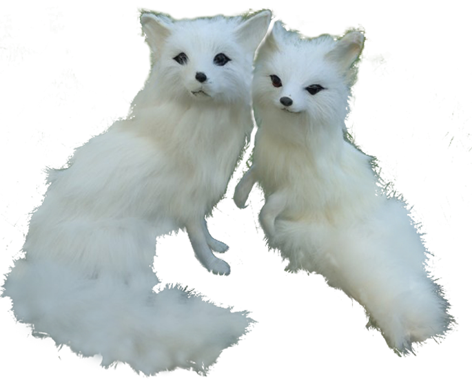 Fox Cartoon Clipart