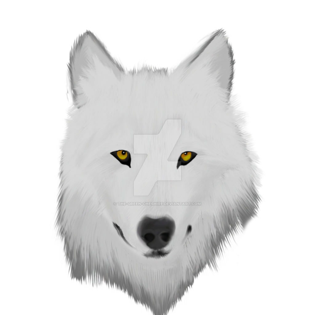 Wolf Drawing Clipart