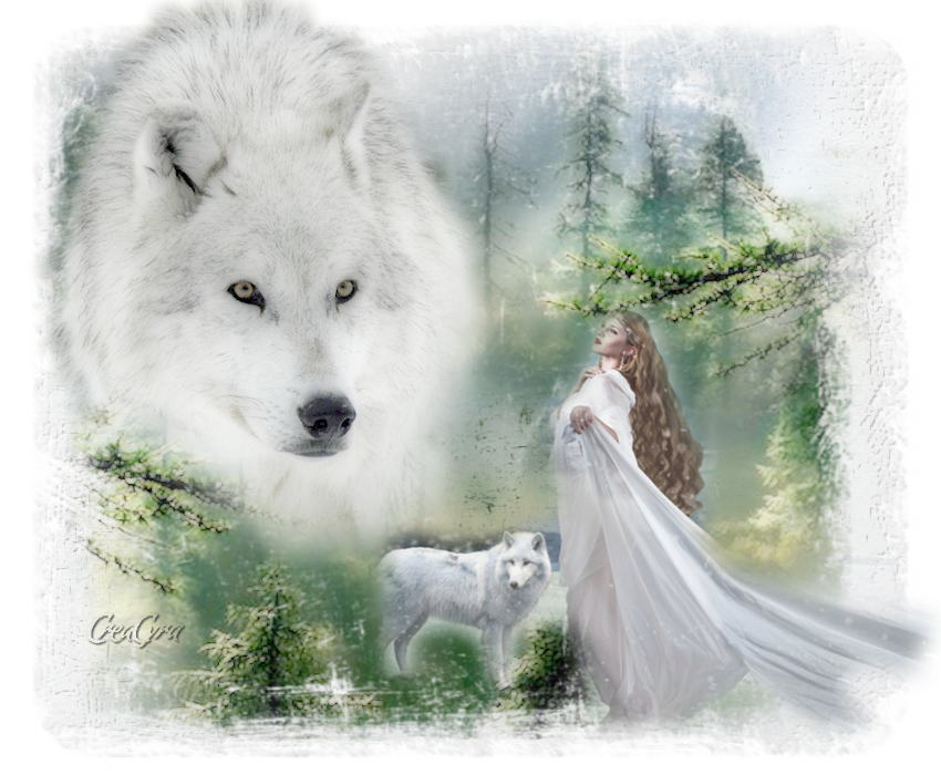 Wolf Cartoon Clipart