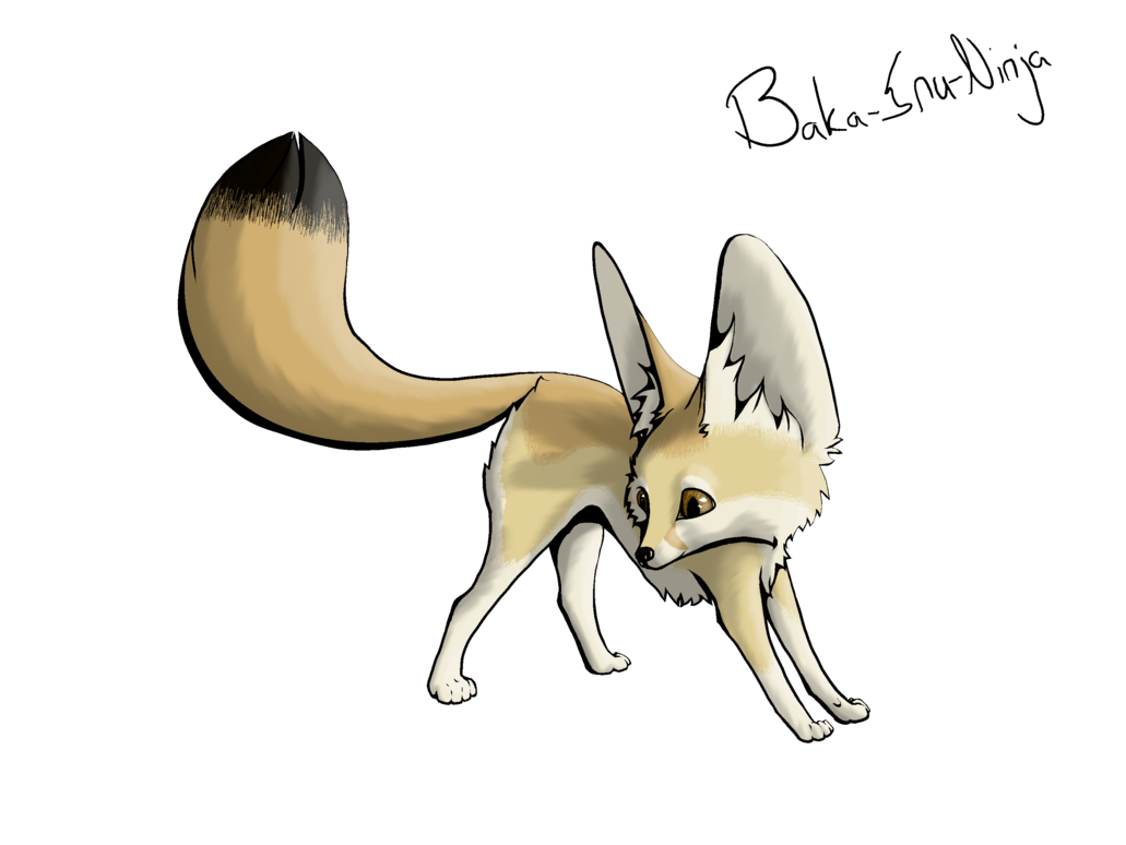 Fox Drawing Clipart