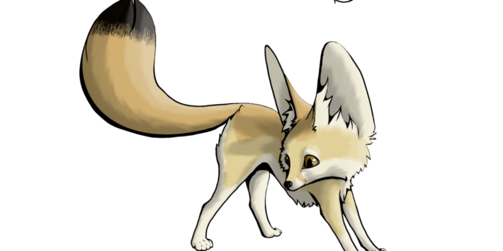 Fox Drawing Clipart