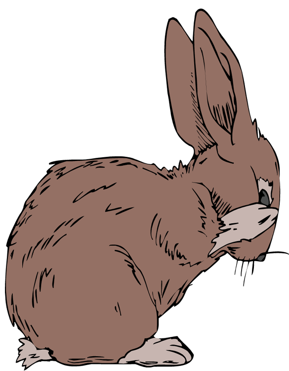 Fox Cartoon Clipart