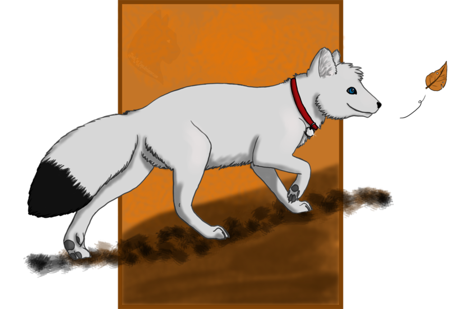 Fox Drawing Clipart