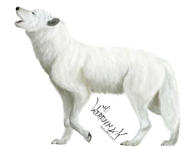 Wolf Cartoon Clipart