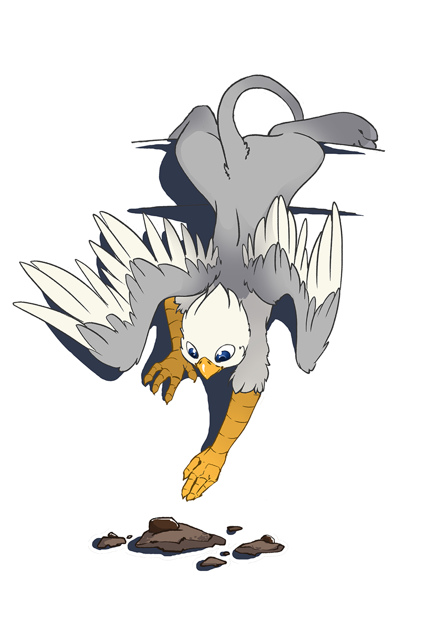 Bird Wing Clipart