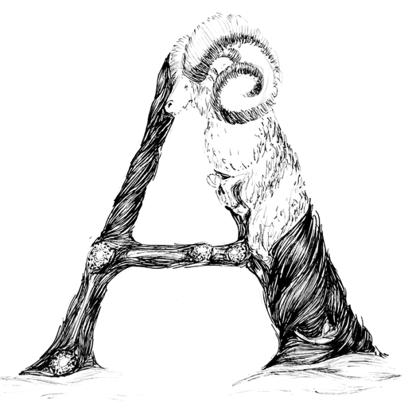 Tree Drawing Clipart