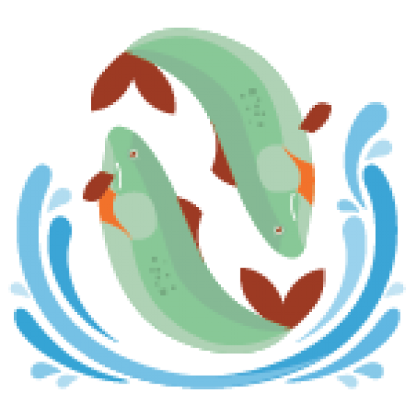 Fish Cartoon Clipart