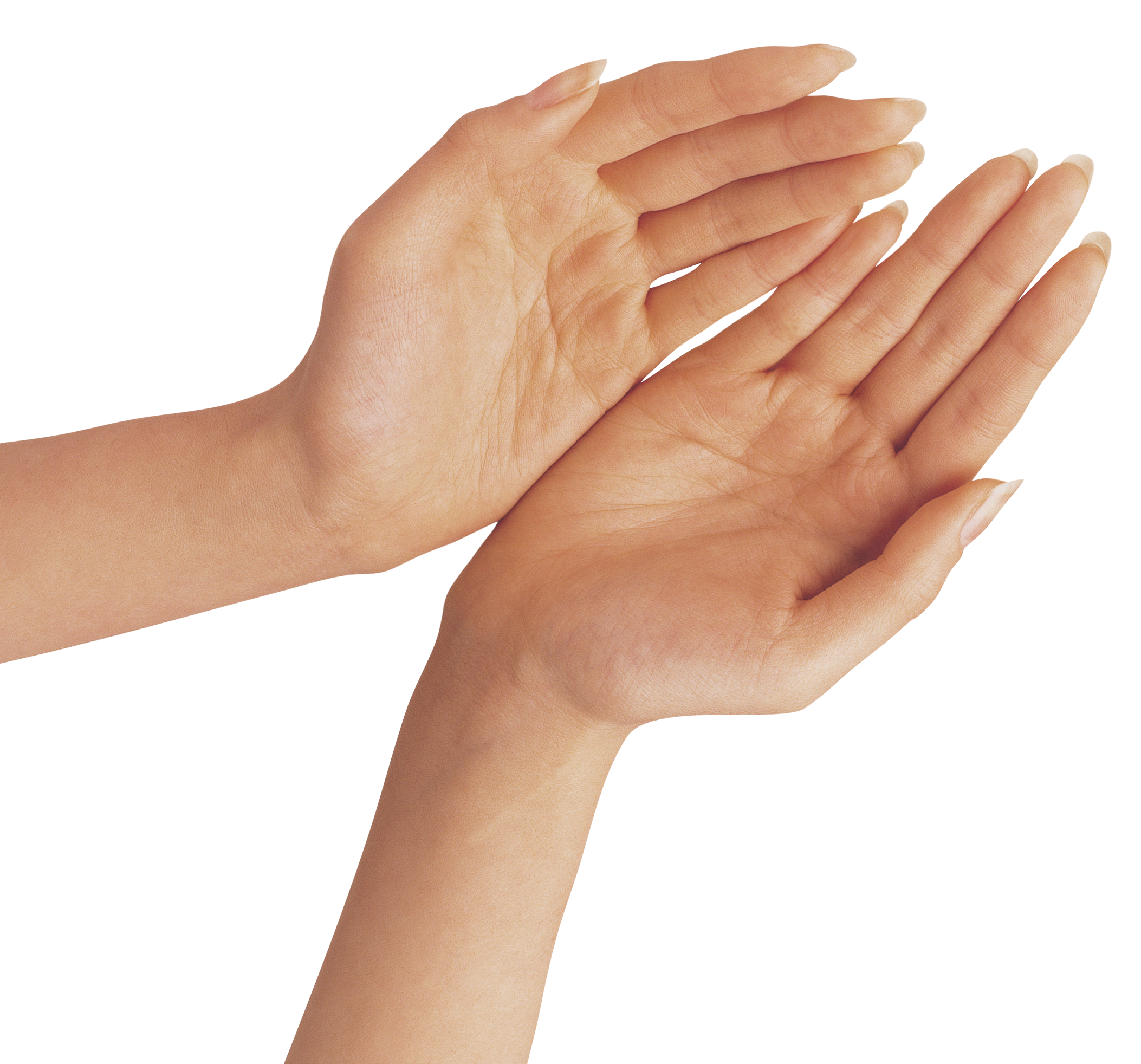 Hand Thumb Clipart