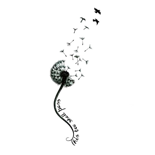 Black Line Background Clipart