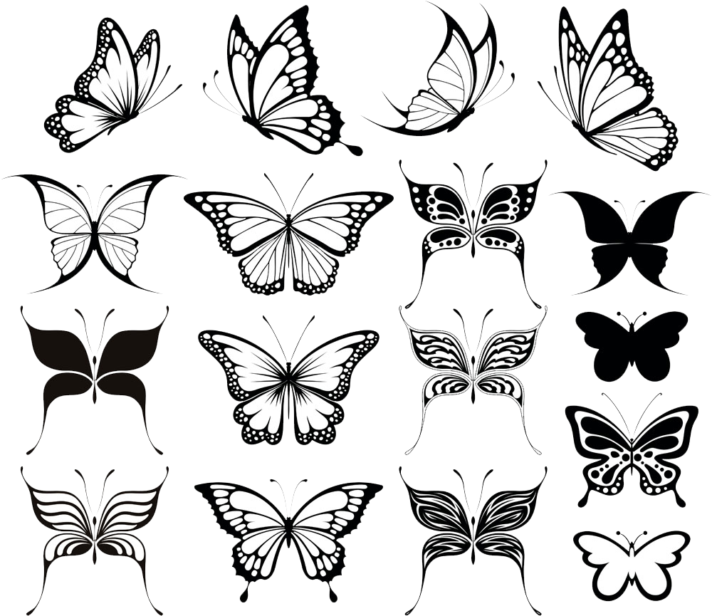 Black And White Flower Clipart