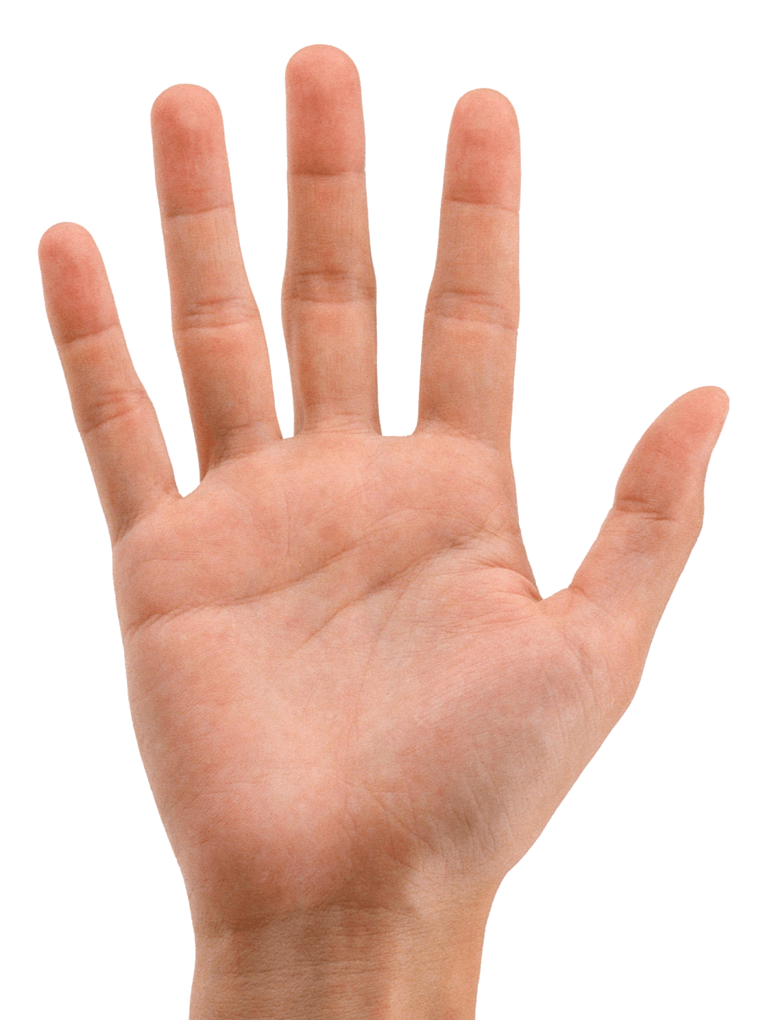 Hand Thumb Clipart