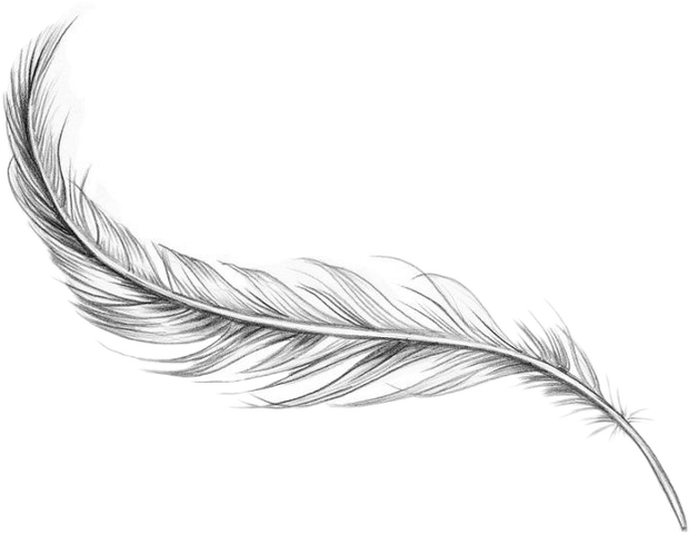 Bird Line Drawing Clipart