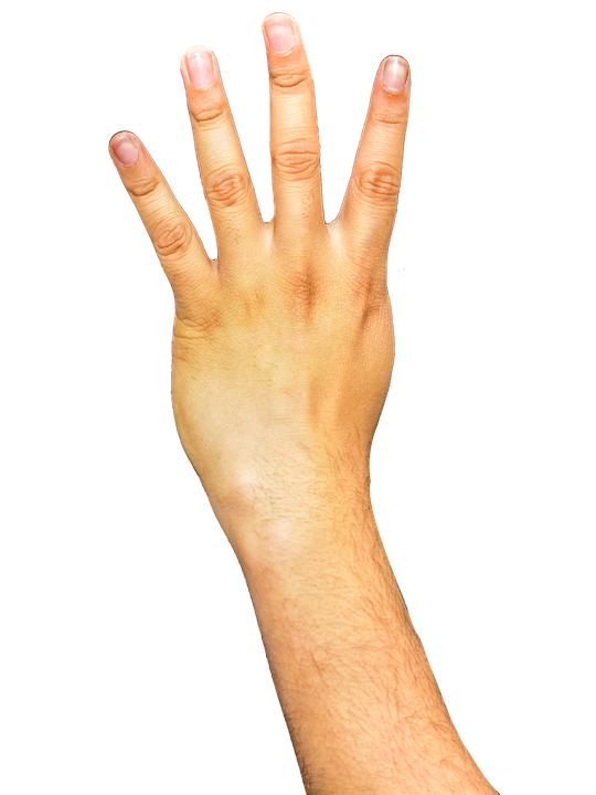 Hand Thumb Clipart