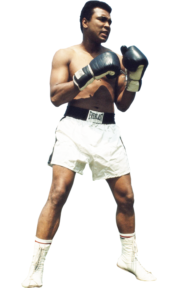 Fight Cartoon Clipart
