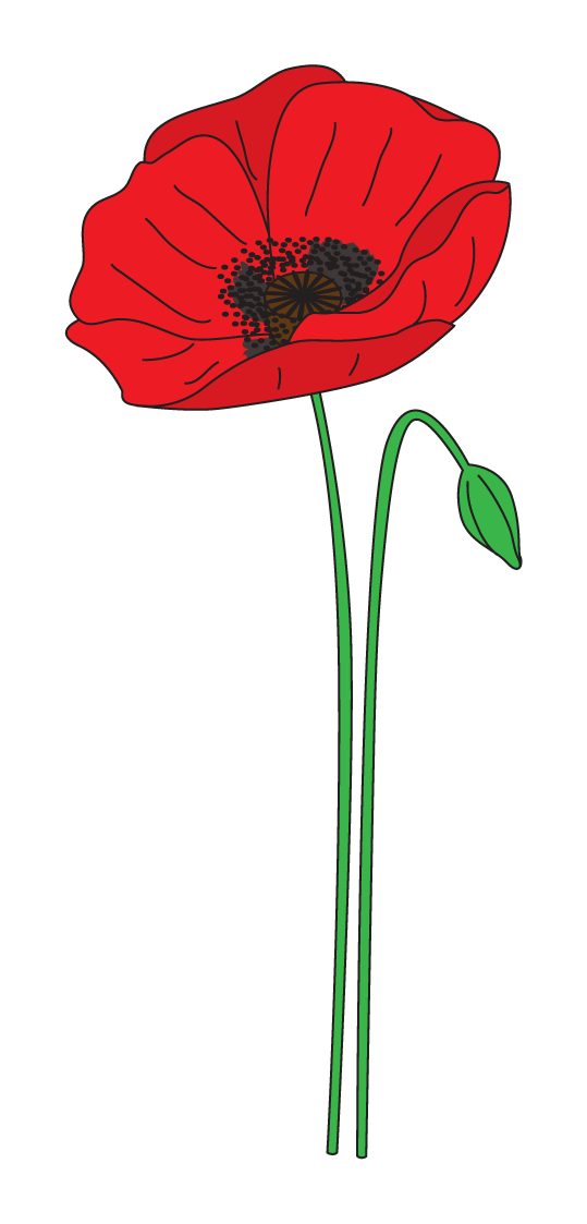 Anzac Day Flower Clipart