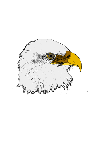 Eagle Art Clipart