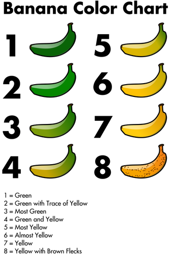Banana Color Chart Graphics Clipart