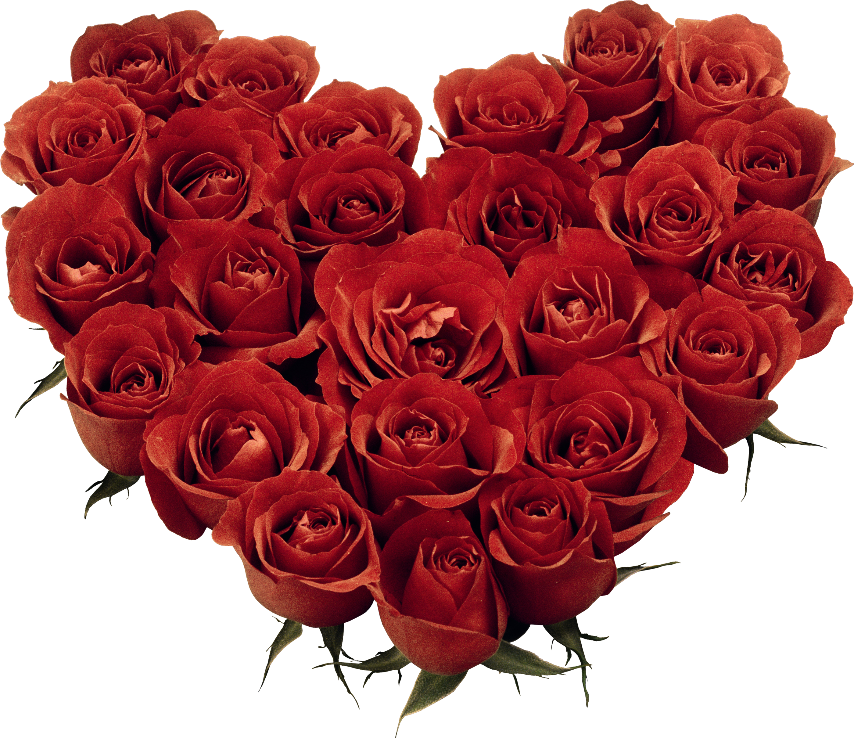 Download Heart Cut Garden Bouquet Of Roses Flower Clipart PNG Free FreePngC...
