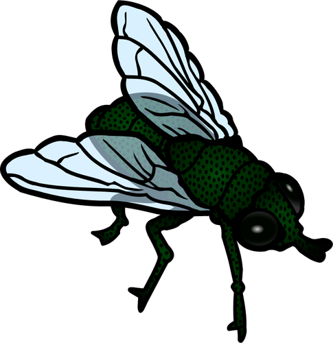 Fly Colored Line Art Clipart