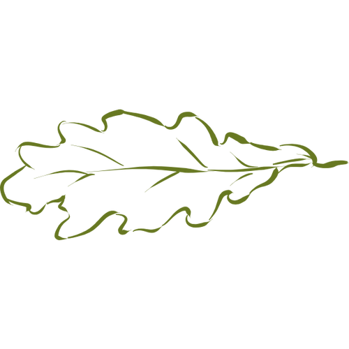 Oak Leaf Drawing Clip Art Clipart