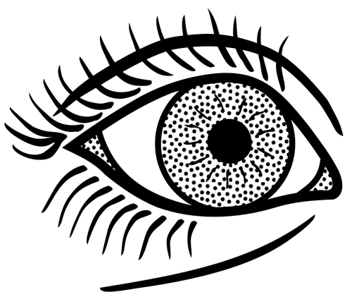 Female Eye Line Art Clipart