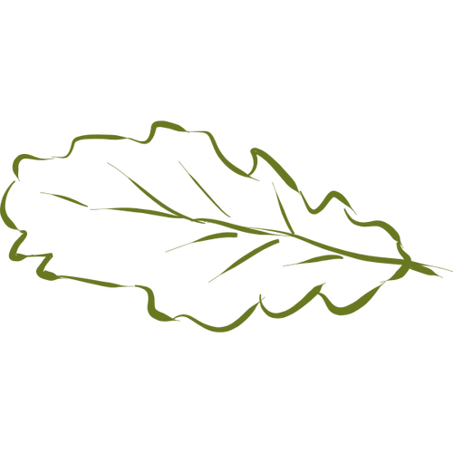 Oak Leaf Hand-Drawn Clip Art Clipart