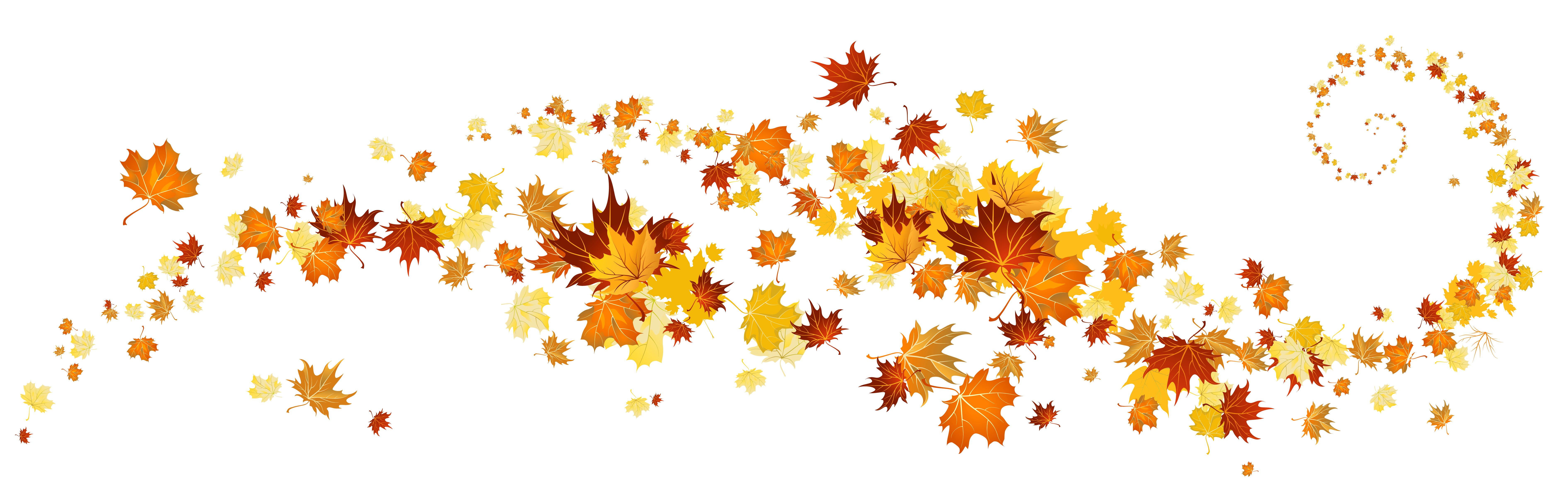 Autumn Fall Leaves Fall Leaf Outline Images Clipart