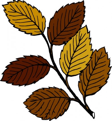 Autumn Fall Leaves Vector For Download About Clipart