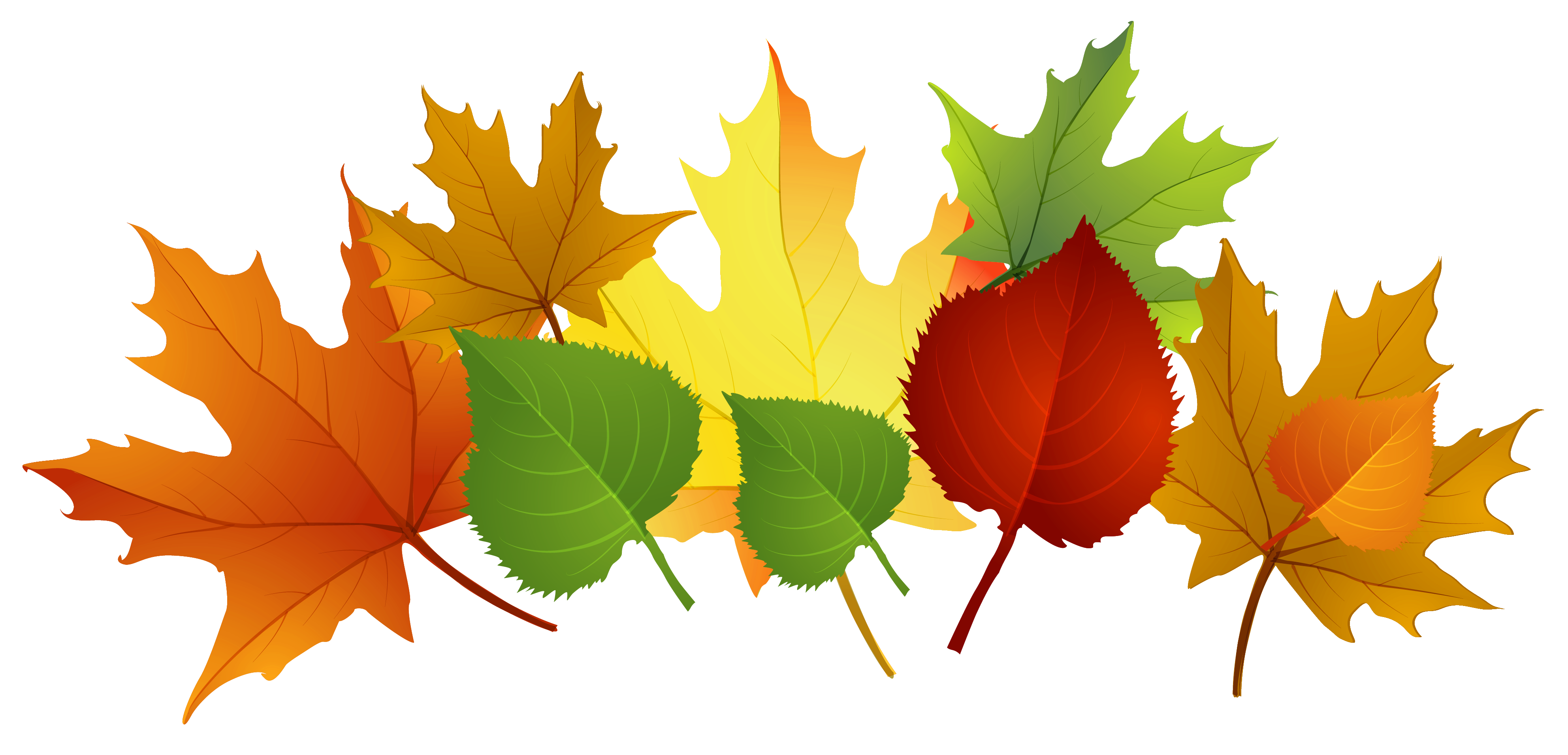 Leaf Fall Autumn Leaves 3 Png Image Clipart